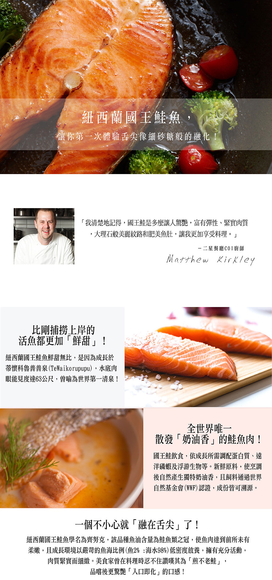 國王鮭