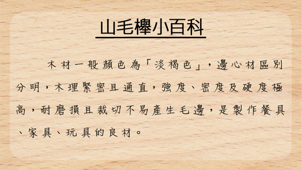 山毛櫸 腰只擺盤 仙德曼