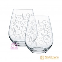 德國Nachtmann 情趣酒杯 460ml (2入)