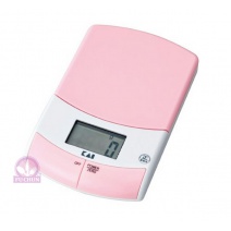 DL-5846方型電子秤(粉)2KG 160*98*20mm