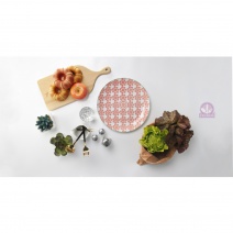 TN-47 紅花 日本盤 26*H3cm