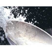 【BUFFALO牛頭牌】Function雙耳湯鍋 22cm