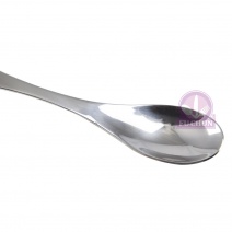 #316不銹鋼餐匙 16.5cm