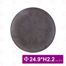 DC60163 淺盤 10吋 Φ24.9xH2.2cm