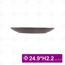 DC60163 淺盤 10吋 Φ24.9xH2.2cm