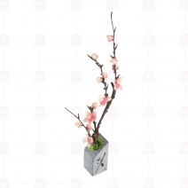 味字石禪意梅花 BN04-01-08 (60入/盒)