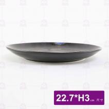 深海淺式圓盤 9吋 22.7x3cm