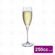 【Bormioli Rocco】CHAMPAGNE 香檳杯 250cc (6入/盒)