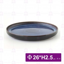 渲波陶瓷10.5吋平盤
