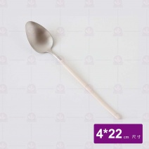 星湛不鏽鋼餐匙 象牙白