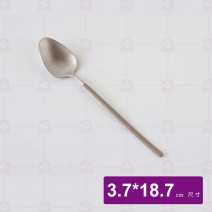 星湛不鏽鋼甜品匙 棕色