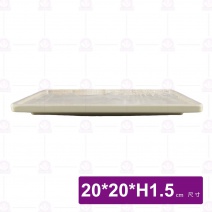 【HS】SK053 藝風四方盤-拉菲渲染(12入/盒)