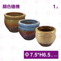陶大甕-Φ7.5xH6.5cm