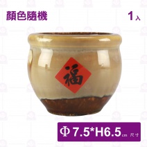 陶大甕-Φ7.5xH6.5cm
