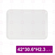 【LihTay】6017托盤 42x30.6x2.3cm