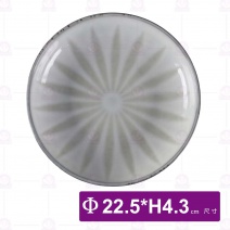 9吋 淺水盤-傘紋(綠)-Φ22.5xH4.3cm