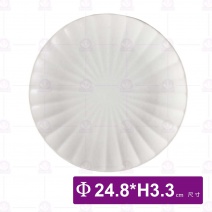 9.75吋線盤(白)-Φ24.8xH3.3cm