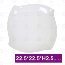 9吋正方轉角烤盤-22.5x22.5xH2.5cm