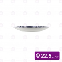 【大同磁器】P1291-169 9吋圓盤-銀河系