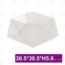 【大同磁器】P63123 12吋六角紋路深盤-中