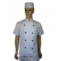 A003塔紗中山領雙排扣短袖黑扣廚師服 5L