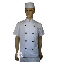 A003塔紗中山領雙排扣短袖黑扣廚師服  XL