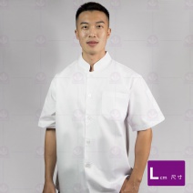 A104 中山領單排釦廚師服-短袖 L